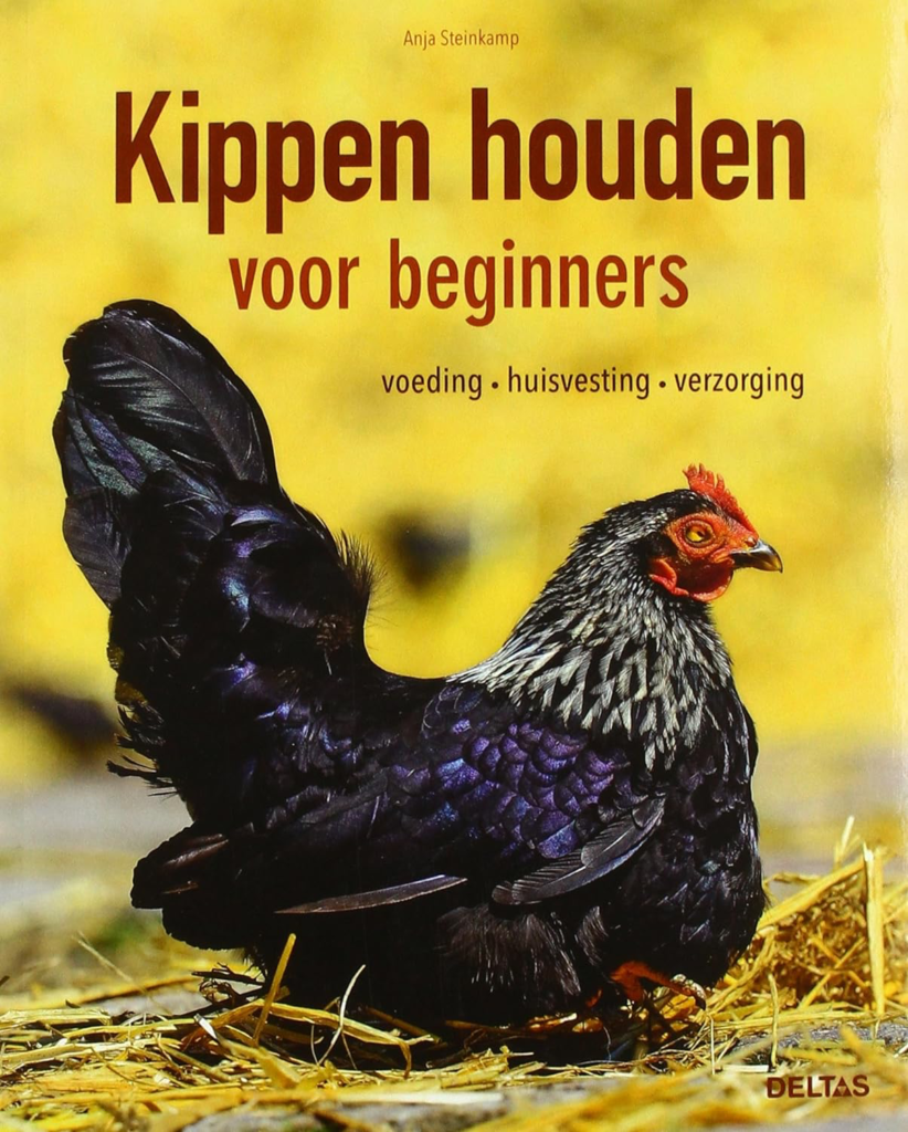 Kippen houden voor beginners